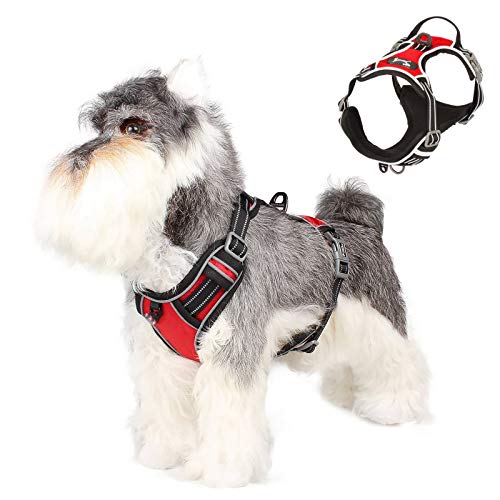 SISVIV Arnés para Perros Pequeños Reflectante Arneses Chaleco para Perros Cachorro Acolchado Ajustable Antitirones Oxford Duradero Transpirable Rojo S SISVIV Arnés para Perros Pequeños Reflectante Arneses Chaleco para Perros Cachorro Acolchado Ajustable Antitirones Oxford Duradero Transpirable Rojo S