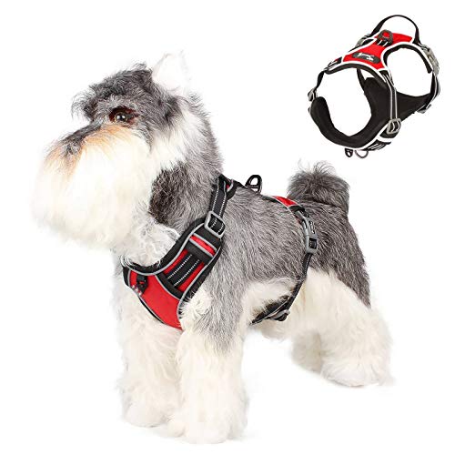 SISVIV Arnés para Perros Pequeños Reflectante Arneses Chaleco para Perros Cachorro Acolchado Ajustable Antitirones Oxford Duradero Transpirable Rojo S