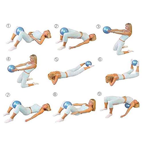 Slosy Pelota Yoga 25cm Azul Accesorios Gym Balón Pilates para Embarazadas Pequeño Material de Gimnasio Bola Fitness Pequeña Entrenamiento Mini Ball Mejora la Postura Equilibrio Rehabilitacion Slosy Pelota Yoga 25cm Azul Accesorios Gym Balón Pilates para Embarazadas Pequeño Material de Gimnasio Bola Fitness Pequeña Entrenamiento Mini Ball Mejora la Postura Equilibrio Rehabilitacion