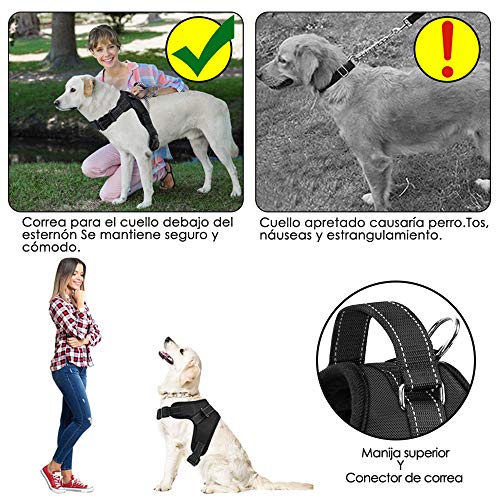 SlowTon Arnes para Perro, NinguÌ n tirón Chaleco del Perro arnés - Chaleco Acolchado del Cuerpo del Perro - Control de la Comodidad para los Perros Grandes en el Entrenamiento Que Camina SlowTon Arnes para Perro, NinguÌ n tirón Chaleco del Perro arnés - Chaleco Acolchado del Cuerpo del Perro - Control de la Comodidad para los Perros Grandes en el Entrenamiento Que Camina
