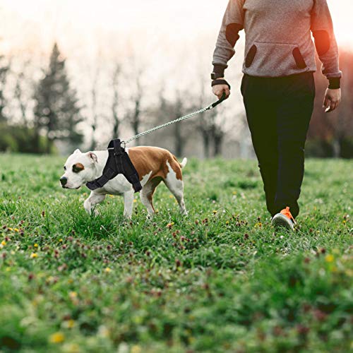 SlowTon Arnes para Perro, NinguÌ n tirón Chaleco del Perro arnés - Chaleco Acolchado del Cuerpo del Perro - Control de la Comodidad para los Perros Grandes en el Entrenamiento Que Camina