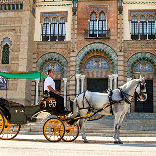 Smartbox - Caja Regalo - Paseo en Coche de Caballos en Sevilla para Dos - Ideas Regalos Originales