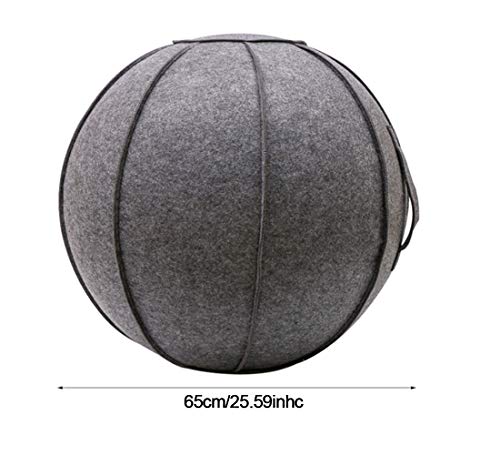 SOKLIT Funda para pelota de fitness de 65 cm, para embarazo o embarazo, para casa, oficina, pilates, yoga, estabilidad y fitness, con asa y tapa, incluye pelota de ejercicio y bomba