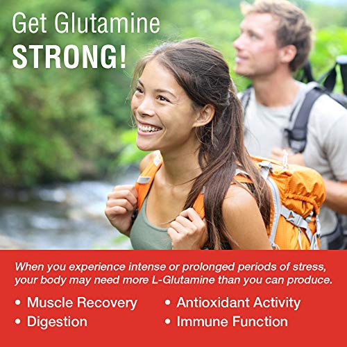 Solaray L-Glutamine 500mg | Recuperación muscular saludable, apoyo gastrointestinal e inmunológico | Sin Gluten | Apto Para Veganos | 50 VegCaps Solaray L-Glutamine 500mg | Recuperación muscular saludable, apoyo gastrointestinal e inmunológico | Sin Gluten | Apto Para Veganos | 50 VegCaps
