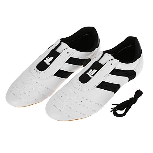 SolUptanisu Zapatos de Artes Marciales,Zapatilla de Entrenamiento de Taekwondo Zapatos de Boxeo Karate Kung Fu Tai Chi de Rayas Ligeros para Niños Adultos(39)