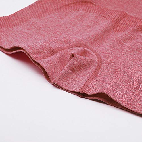 SotRong Pantalones Cortos de Yoga Sin Costuras Cintura Alta para Mujer Estiramiento Deportivo Pantalones Cortos para Correr Pantalones de Yoga de Elevación a Tope Pantalones de Verano Calientes Rosa L SotRong Pantalones Cortos de Yoga Sin Costuras Cintura Alta para Mujer Estiramiento Deportivo Pantalones Cortos para Correr Pantalones de Yoga de Elevación a Tope Pantalones de Verano Calientes Rosa L