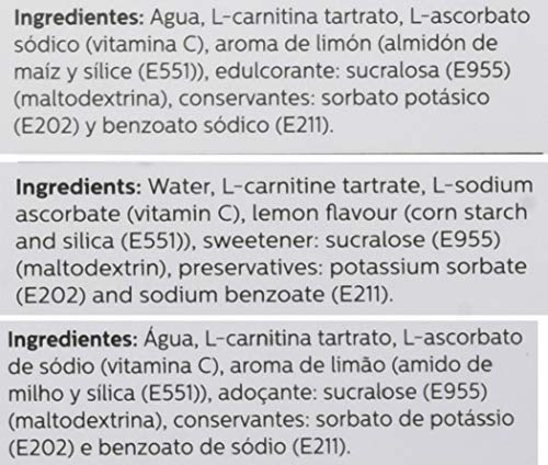 SOTYA - SOTYA L-Carnitina 1000 mg 10 ampollas