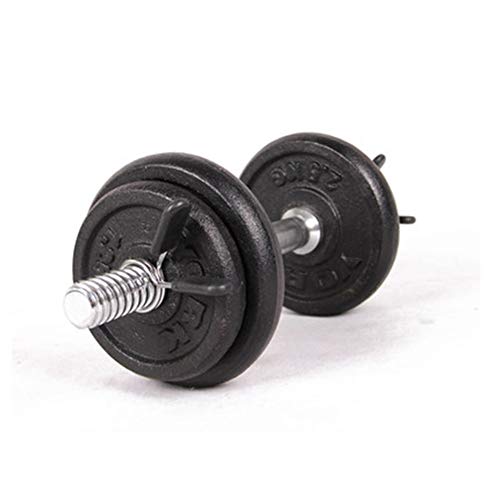 Starry sky Barra de Bloqueo 2pcs 30mm con Barra Gimnasio de Levantamiento de Pesas con Mancuernas Clips de Cuello Barra de Bloqueo de tensión de Resorte Starry sky Barra de Bloqueo 2pcs 30mm con Barra Gimnasio de Levantamiento de Pesas con Mancuernas Clips de Cuello Barra de Bloqueo de tensión de Resorte