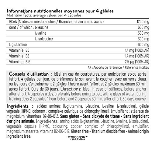 STC NUTRITION - BCAA Synergy+ - Complemento alimenticio rico en aminoácidos conectados - Aumenta la resistencia al esfuerzo - Reduce la fatiga muscular - Limita las durezas - 120 cápsulas - Vegan