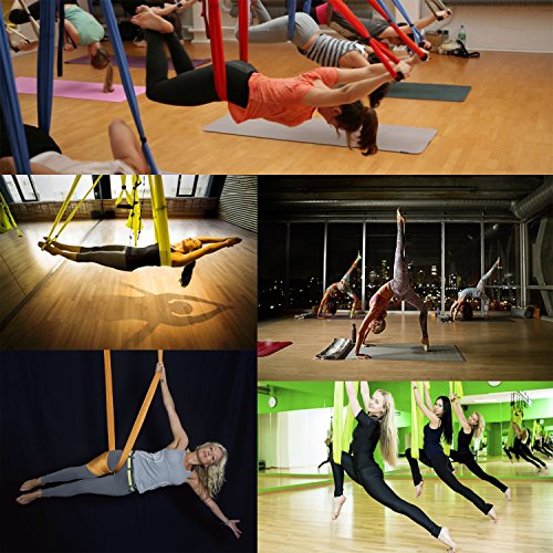 Stryser Soporte Anclaje de Techo y Pared en X para Correas de Suspensión Anillos de Gimnasia Yoga Swing Cuerdas de Batalla Equipo de Boxeo Incluye Juego de Tornillos con Tacos Fischer Duopower Stryser Soporte Anclaje de Techo y Pared en X para Correas de Suspensión Anillos de Gimnasia Yoga Swing Cuerdas de Batalla Equipo de Boxeo Incluye Juego de Tornillos con Tacos Fischer Duopower