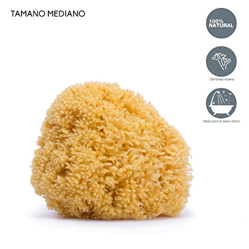 Suavinex Esponja 100% Natural para Bebé con Materiales del Mar muy Suave y Gran Poder de Absorción, Tamaño Mediano Suavinex Esponja 100% Natural para Bebé con Materiales del Mar muy Suave y Gran Poder de Absorción, Tamaño Mediano