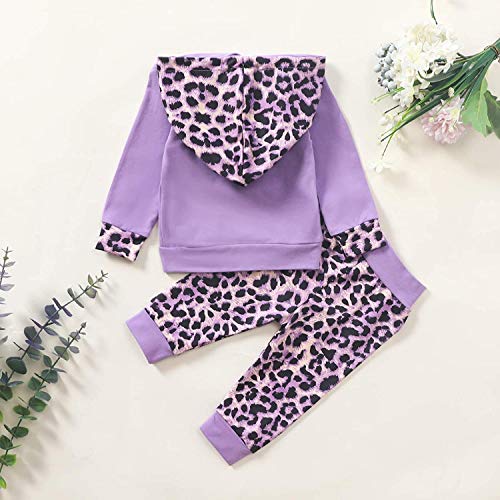 Sudaderas con Capucha para niñas pequeñas, chándales, Sudadera con Capucha de Color sólido, suéter, Pantalones Largos, chándal, Conjunto de 2 Piezas (Purple Leopard,18-24 Meses)