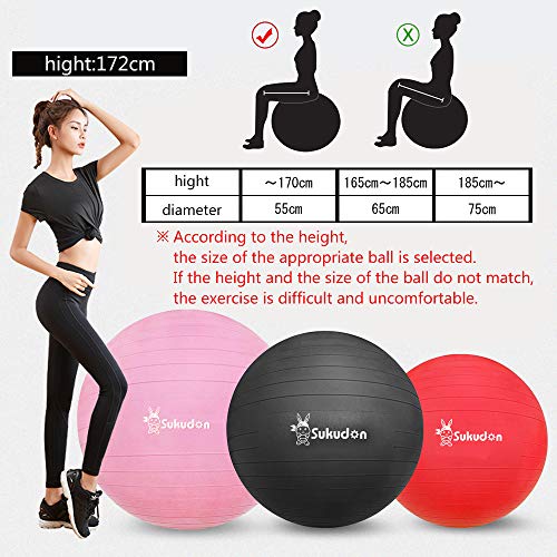 Sukudon - Pelota de Ejercicio, Varios tamaños, antiexplosiones y Extra Gruesas, antiexplosiones, Bola de Estabilidad Resistente, Bola de Parto con Bomba rápida-morado65cm Sukudon - Pelota de Ejercicio, Varios tamaños, antiexplosiones y Extra Gruesas, antiexplosiones, Bola de Estabilidad Resistente, Bola de Parto con Bomba rápida-morado65cm