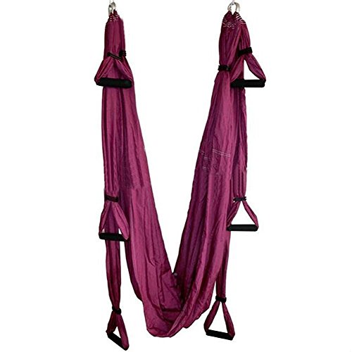 SUNERLORY Hamaca de nailon para yoga aéreo o con correa para trapecio, kit de fitness para inversión antigravedad (morado) SUNERLORY Hamaca de nailon para yoga aéreo o con correa para trapecio, kit de fitness para inversión antigravedad (morado)