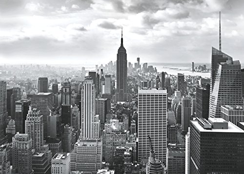 Sunny Decor SD323 - Fotografía mural (368 x 254 cm, 8 piezas), diseño de Nueva York Sunny Decor SD323 - Fotografía mural (368 x 254 cm, 8 piezas), diseño de Nueva York