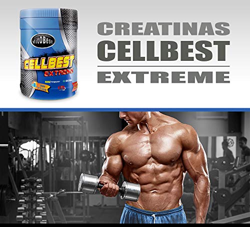 Suplemento Creatina Monohidrato CELLBEST EXTREME 2.5 kg - Suplementos Deportivos - Vitobest (LIMA HIERBABUENA)