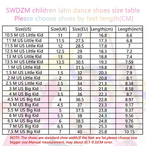 SWDZM Niñas Estándar de Zapatos de baile latino Satén Ballroom modelo-ES-202 Beige 36 EU SWDZM Niñas Estándar de Zapatos de baile latino Satén Ballroom modelo-ES-202 Beige 36 EU