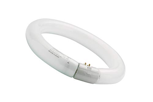 Sylvania - Lámpara luxline circular fc40w/865 t9 g10q Sylvania - Lámpara luxline circular fc40w/865 t9 g10q