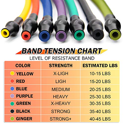 SYOSIN Bandas Elasticas, Bandas de Resistencia Látex con Manijas, Ideal for Physical Therapy, Strength Training, Muscle Toning, Bolsa de Almacenamiento de Anclaje de Puerta incluida