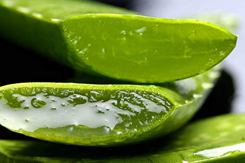 Tabaiba Aloe Vera Crema, Crema Hidratante Facial y Corporal con Aloe Vera, 300 ml Tabaiba Aloe Vera Crema, Crema Hidratante Facial y Corporal con Aloe Vera, 300 ml