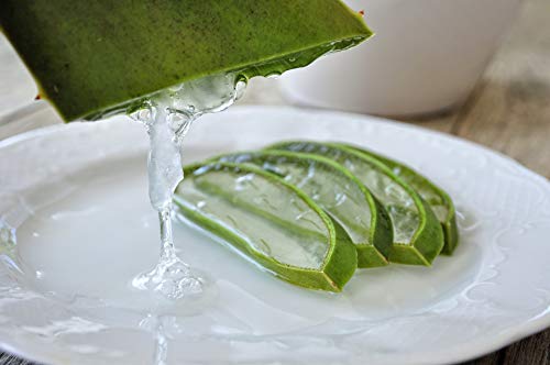 Tabaibaloe Premium Cream Aloe Vera, Crema de Aloe Vera para cara y cuerpo, 300 ml Tabaibaloe Premium Cream Aloe Vera, Crema de Aloe Vera para cara y cuerpo, 300 ml