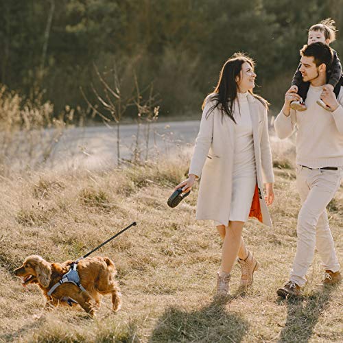 TAMOWA Arnés Perro Ajustable, Arnés Perro Grande Mediano Pequeño Cómodo Transpirable y con Lineas Reflectantes, Arnés para Perro para Caminar Entrenamiento (Azul, XL)