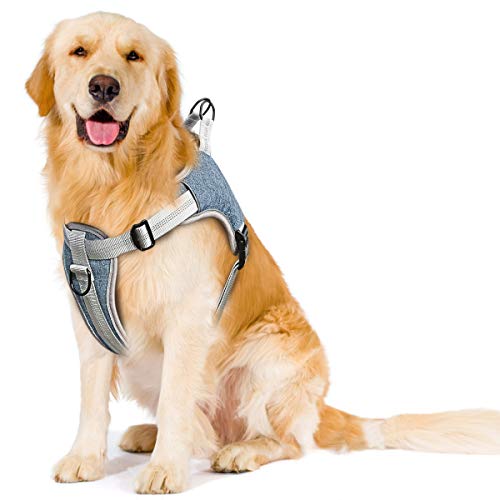 TAMOWA Arnés Perro Ajustable, Arnés Perro Grande Mediano Pequeño Cómodo Transpirable y con Lineas Reflectantes, Arnés para Perro para Caminar Entrenamiento (Azul, XL)