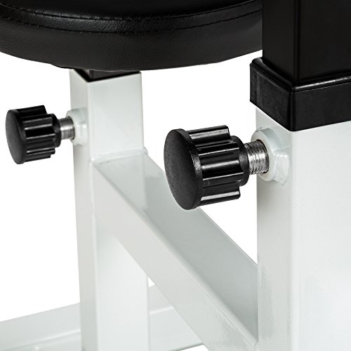 TecTake 402267 Banco de Bíceps Curl | Apoyabrazos & Asiento Regulable | Fitness Ejercicio Musculación TecTake 402267 Banco de Bíceps Curl | Apoyabrazos & Asiento Regulable | Fitness Ejercicio Musculación