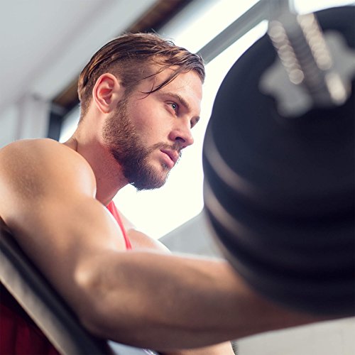 TecTake 402267 Banco de Bíceps Curl | Apoyabrazos & Asiento Regulable | Fitness Ejercicio Musculación TecTake 402267 Banco de Bíceps Curl | Apoyabrazos & Asiento Regulable | Fitness Ejercicio Musculación