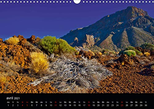 TENERIFE FLORE DES VOLCANS (Calendrier mural 2021 DIN A3 horizontal): Des champs de lave bariolés de flore endémique créant la surprise dans un désert ... mensuel, 14 Pages ) (CALVENDO Nature)