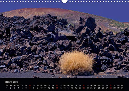 TENERIFE FLORE DES VOLCANS (Calendrier mural 2021 DIN A3 horizontal): Des champs de lave bariolés de flore endémique créant la surprise dans un désert ... mensuel, 14 Pages ) (CALVENDO Nature)