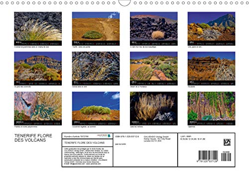 TENERIFE FLORE DES VOLCANS (Calendrier mural 2021 DIN A3 horizontal): Des champs de lave bariolés de flore endémique créant la surprise dans un désert ... mensuel, 14 Pages ) (CALVENDO Nature)