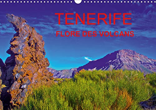 TENERIFE FLORE DES VOLCANS (Calendrier mural 2021 DIN A3 horizontal): Des champs de lave bariolés de flore endémique créant la surprise dans un désert ... mensuel, 14 Pages ) (CALVENDO Nature)