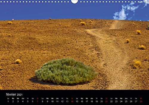 TENERIFE FLORE DES VOLCANS (Calendrier mural 2021 DIN A3 horizontal): Des champs de lave bariolés de flore endémique créant la surprise dans un désert ... mensuel, 14 Pages ) (CALVENDO Nature)