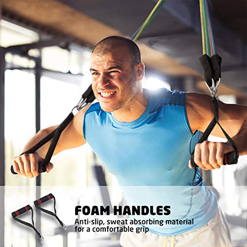 Terra Hiker Bandas Elasticas Resistencia, para Fitness/Gimnasio, hasta 68 kg (150lbs), Incluye 5 Bandas de Tubo, con Manija/Anclaje de Puerta Terra Hiker Bandas Elasticas Resistencia, para Fitness/Gimnasio, hasta 68 kg (150lbs), Incluye 5 Bandas de Tubo, con Manija/Anclaje de Puerta