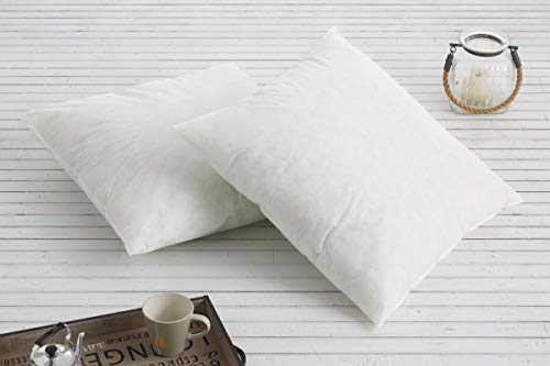 Textilhome - Pack 2 Relleno de Cojín 50x70cm / Poliéster 100% - Fibra Hueca siriconada de Gran Densidad. Textilhome - Pack 2 Relleno de Cojín 50x70cm / Poliéster 100% - Fibra Hueca siriconada de Gran Densidad.