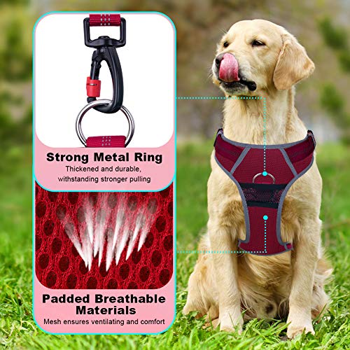 ThinkPet Arnés Deportivo para Perros sin tirones y Transpirable: Chaleco Ajustable de Seguridad Acolchado Reflectante, para Exteriores y Entrenamiento Perros pequeños medianos Grandes ThinkPet Arnés Deportivo para Perros sin tirones y Transpirable: Chaleco Ajustable de Seguridad Acolchado Reflectante, para Exteriores y Entrenamiento Perros pequeños medianos Grandes