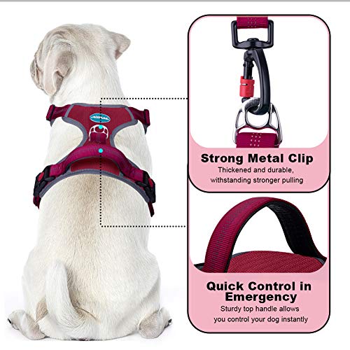 ThinkPet Arnés Deportivo para Perros sin tirones y Transpirable: Chaleco Ajustable de Seguridad Acolchado Reflectante, para Exteriores y Entrenamiento Perros pequeños medianos Grandes ThinkPet Arnés Deportivo para Perros sin tirones y Transpirable: Chaleco Ajustable de Seguridad Acolchado Reflectante, para Exteriores y Entrenamiento Perros pequeños medianos Grandes