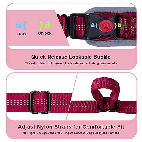 ThinkPet Arnés Deportivo para Perros sin tirones y Transpirable: Chaleco Ajustable de Seguridad Acolchado Reflectante, para Exteriores y Entrenamiento Perros pequeños medianos Grandes ThinkPet Arnés Deportivo para Perros sin tirones y Transpirable: Chaleco Ajustable de Seguridad Acolchado Reflectante, para Exteriores y Entrenamiento Perros pequeños medianos Grandes