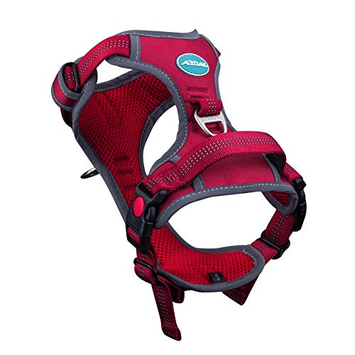 ThinkPet Arnés Deportivo para Perros sin tirones y Transpirable: Chaleco Ajustable de Seguridad Acolchado Reflectante, para Exteriores y Entrenamiento Perros pequeños medianos Grandes ThinkPet Arnés Deportivo para Perros sin tirones y Transpirable: Chaleco Ajustable de Seguridad Acolchado Reflectante, para Exteriores y Entrenamiento Perros pequeños medianos Grandes