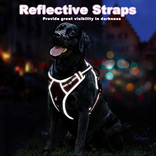 ThinkPet Arnés Deportivo para Perros sin tirones y Transpirable: Chaleco Ajustable de Seguridad Acolchado Reflectante, para Exteriores y Entrenamiento Perros pequeños medianos Grandes ThinkPet Arnés Deportivo para Perros sin tirones y Transpirable: Chaleco Ajustable de Seguridad Acolchado Reflectante, para Exteriores y Entrenamiento Perros pequeños medianos Grandes