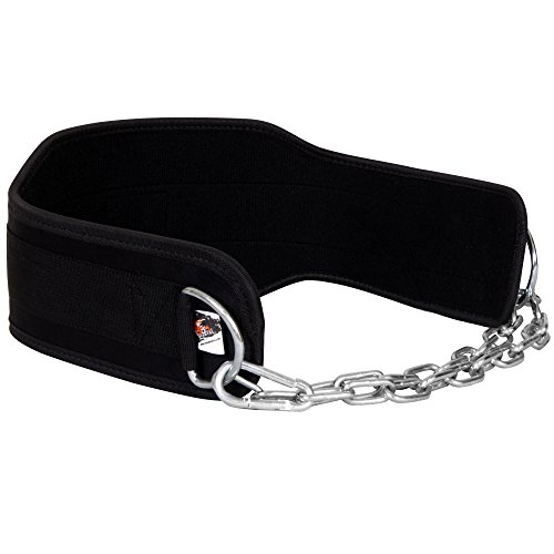 Tigron Gym Ceinture Body Building haltérophilie Dip Chaîne d'exercice Power Lift d'entraînement Tigron Gym Ceinture Body Building haltérophilie Dip Chaîne d'exercice Power Lift d'entraînement