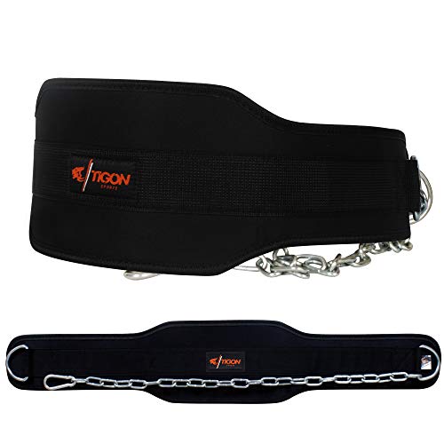 Tigron Gym Ceinture Body Building haltérophilie Dip Chaîne d'exercice Power Lift d'entraînement Tigron Gym Ceinture Body Building haltérophilie Dip Chaîne d'exercice Power Lift d'entraînement