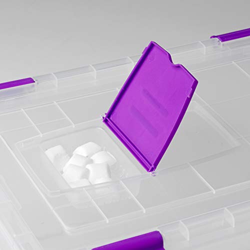 TODO HOGAR - Caja Plástico Almacenaje Transparente con Ruedas - Medidas 730 x 405 x 165 mm - Capacidad de 35 litros (2)