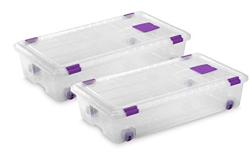 TODO HOGAR - Caja Plástico Almacenaje Transparente con Ruedas - Medidas 730 x 405 x 165 mm - Capacidad de 35 litros (2)