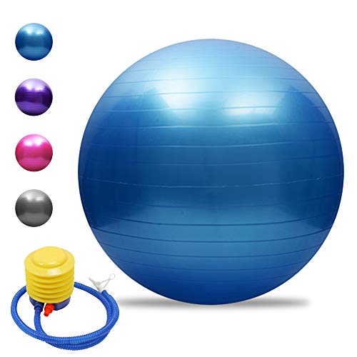 TOMSHOO Pelota de yoga antiestallido gruesa de estabilidad, bola de equilibrio de pilates barre, bola de ejercicio físico, 45 cm, 55 cm, 65 cm, 75 cm, bomba de aire de regalo TOMSHOO Pelota de yoga antiestallido gruesa de estabilidad, bola de equilibrio de pilates barre, bola de ejercicio físico, 45 cm, 55 cm, 65 cm, 75 cm, bomba de aire de regalo