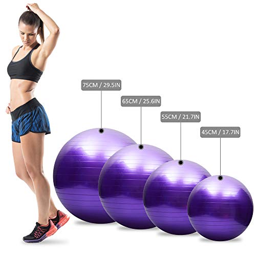 TOMSHOO Pelota de yoga antiestallido gruesa de estabilidad, bola de equilibrio de pilates barre, bola de ejercicio físico, 45 cm, 55 cm, 65 cm, 75 cm, bomba de aire de regalo