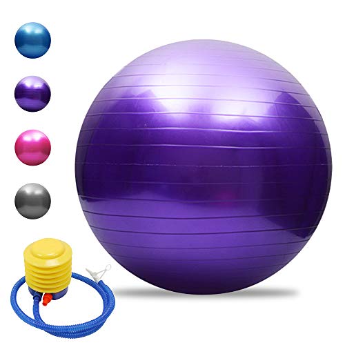 TOMSHOO Pelota de yoga antipinchazos, engrosada, estabilidad, pelota de equilibrio, pilates, barra, fitness, gimnasia, 45 cm/55 cm/65 cm/75 cm, bomba de aire de regalo