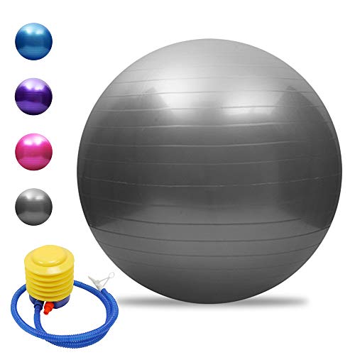 TOMSHOO Pelota de yoga antipinchazos, engrosada, estabilidad, pelota de equilibrio, pilates, barra, fitness, gimnasia, 45 cm/55 cm/65 cm/75 cm, bomba de aire de regalo TOMSHOO Pelota de yoga antipinchazos, engrosada, estabilidad, pelota de equilibrio, pilates, barra, fitness, gimnasia, 45 cm/55 cm/65 cm/75 cm, bomba de aire de regalo