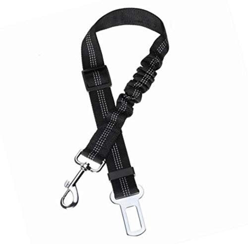 Toozey Perro Cinturón de Seguridad, elástico Ruck dämp Fung y Fuerte mosquetón, Ajustable Perros Correa Alta Seguridad para Todas Las Razas Perros y Gatos, Negro